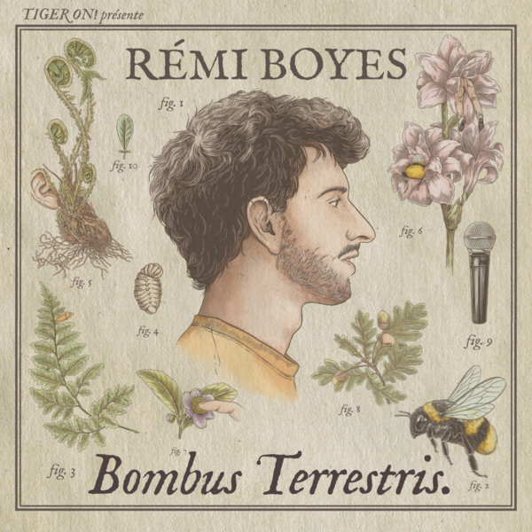 REMI BOYES